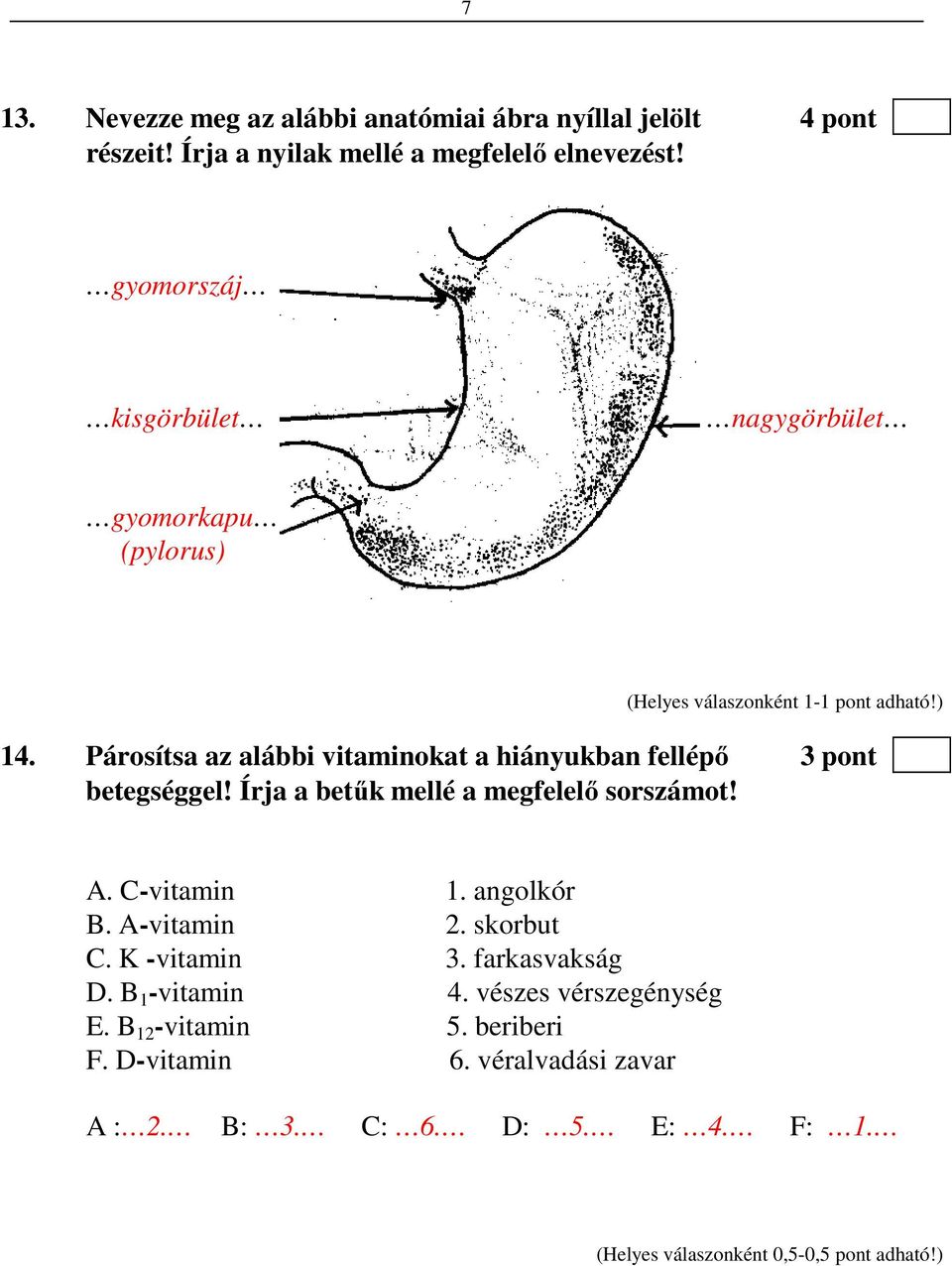 Írja a betűk mellé a megfelelő sorszámot! A. C-vitamin 1. angolkór B. A-vitamin 2. skorbut C. K -vitamin 3. farkasvakság D. B 1 -vitamin 4.