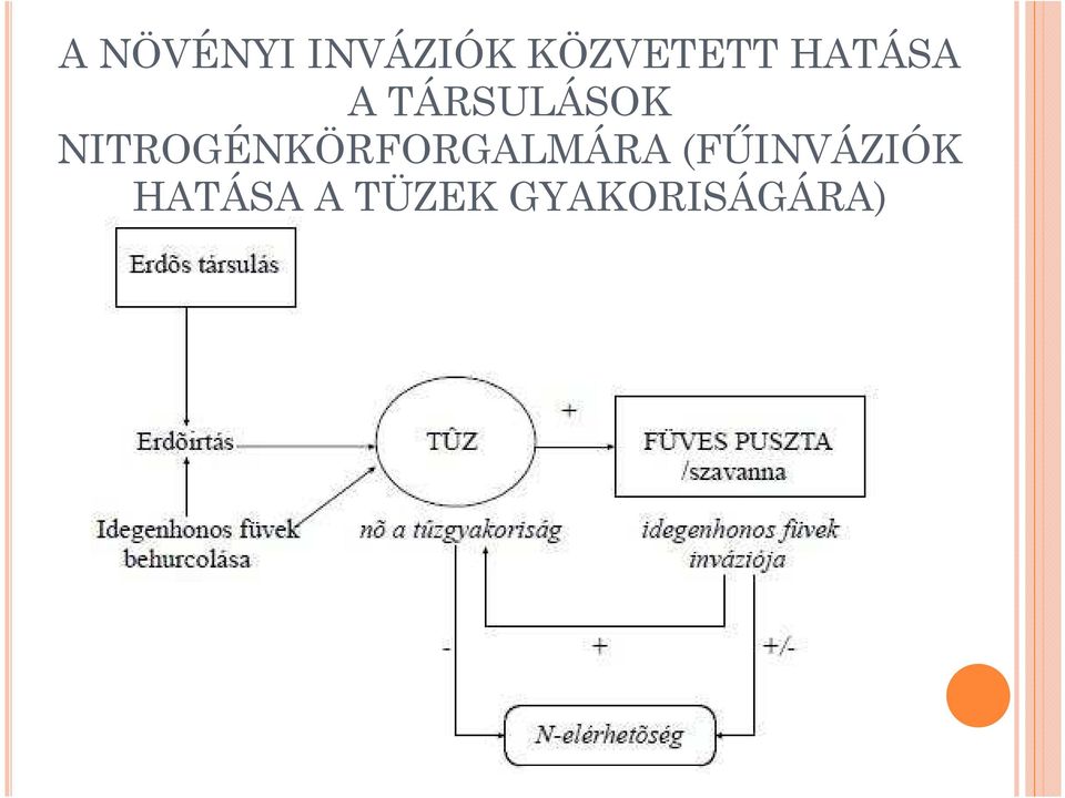 TÁRSULÁSOK