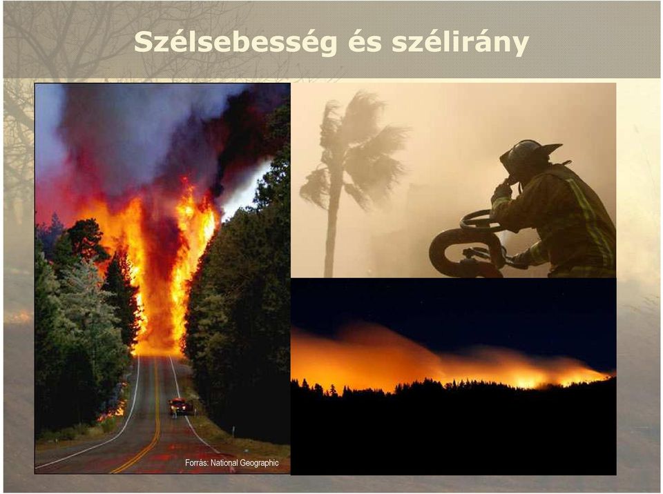 Forrás: