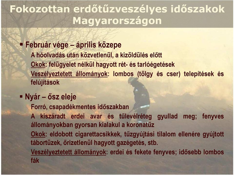 csapadékmentes idıszakban A kiszáradt erdei avar és tőlevélréteg gyullad meg; fenyves állományokban gyorsan kialakul a koronatőz Okok: eldobott