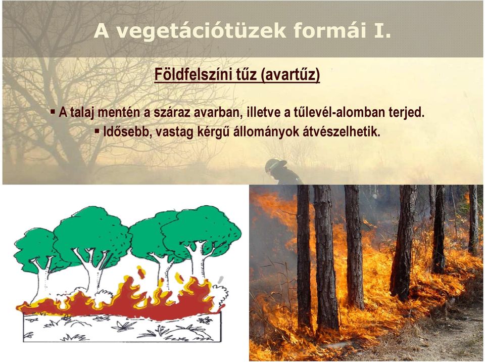 a száraz avarban, illetve a