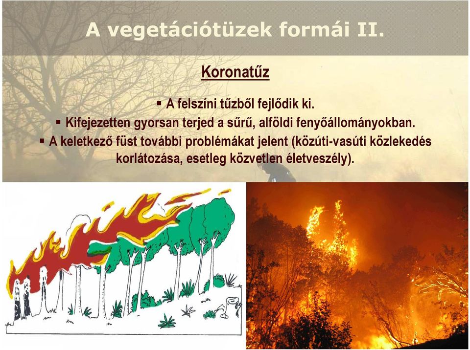 Kifejezetten gyorsan terjed a sőrő, alföldi