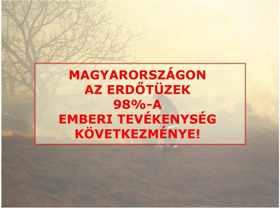 98%-A EMBERI