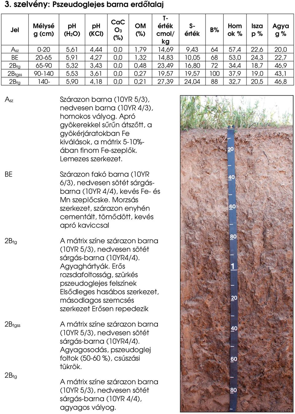 2Btg 140-5,90 4,18 0,0 0,21 27,39 24,04 88 32,7 20,5 46,8 Asz Szárazon barna (10YR 5/3), nedvesen barna (10YR 4/3), homokos vályog.