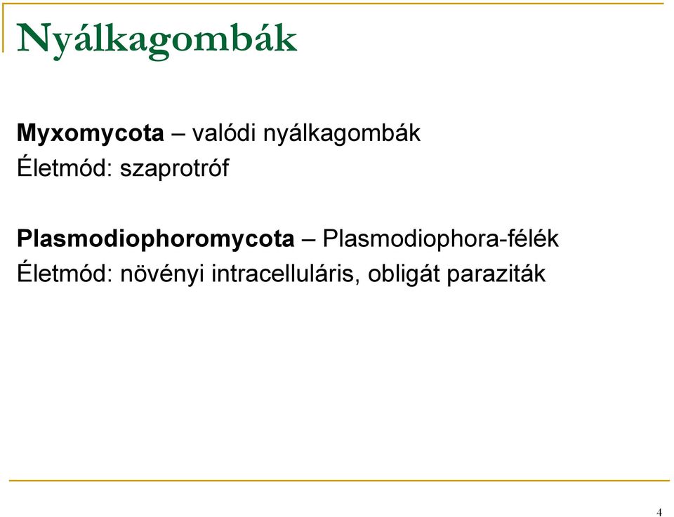 Plasmodiophoromycota