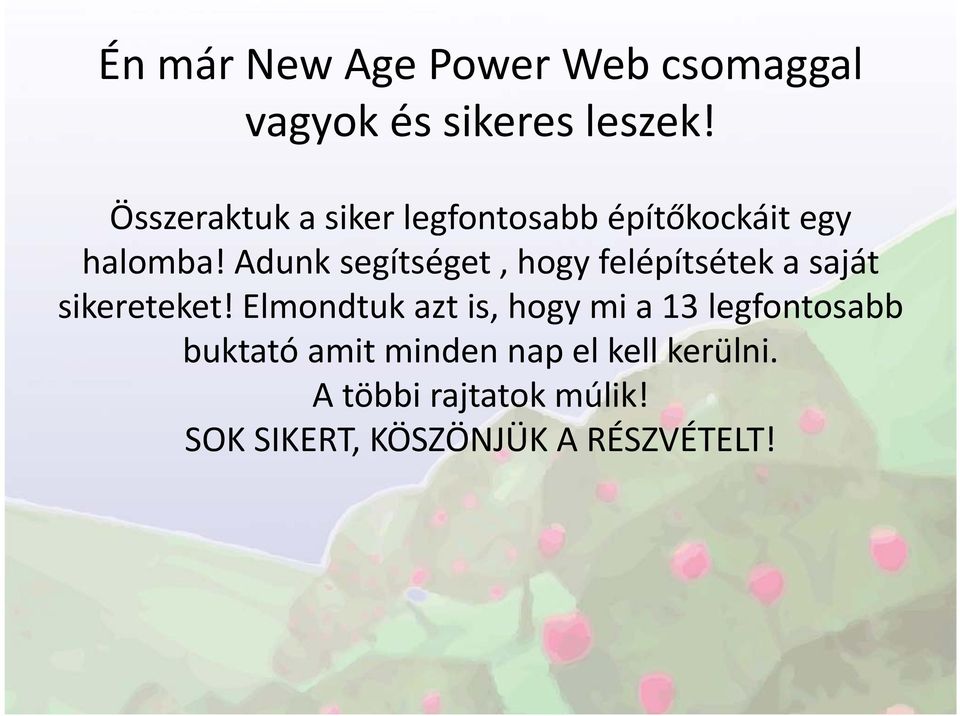 Adunk segítséget, hogy felépítsétek a saját sikereteket!