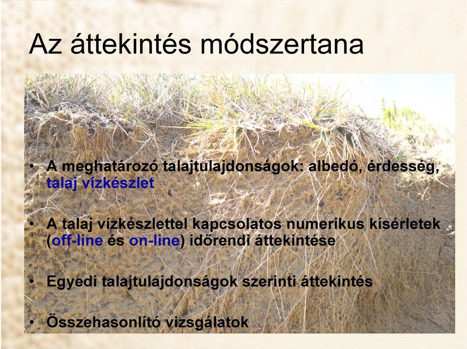 kapcsolatos numerikus kísérletek (off-line és on-line) időrendi