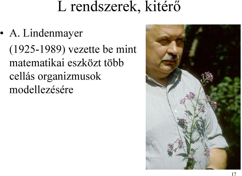 be mint matematikai eszközt