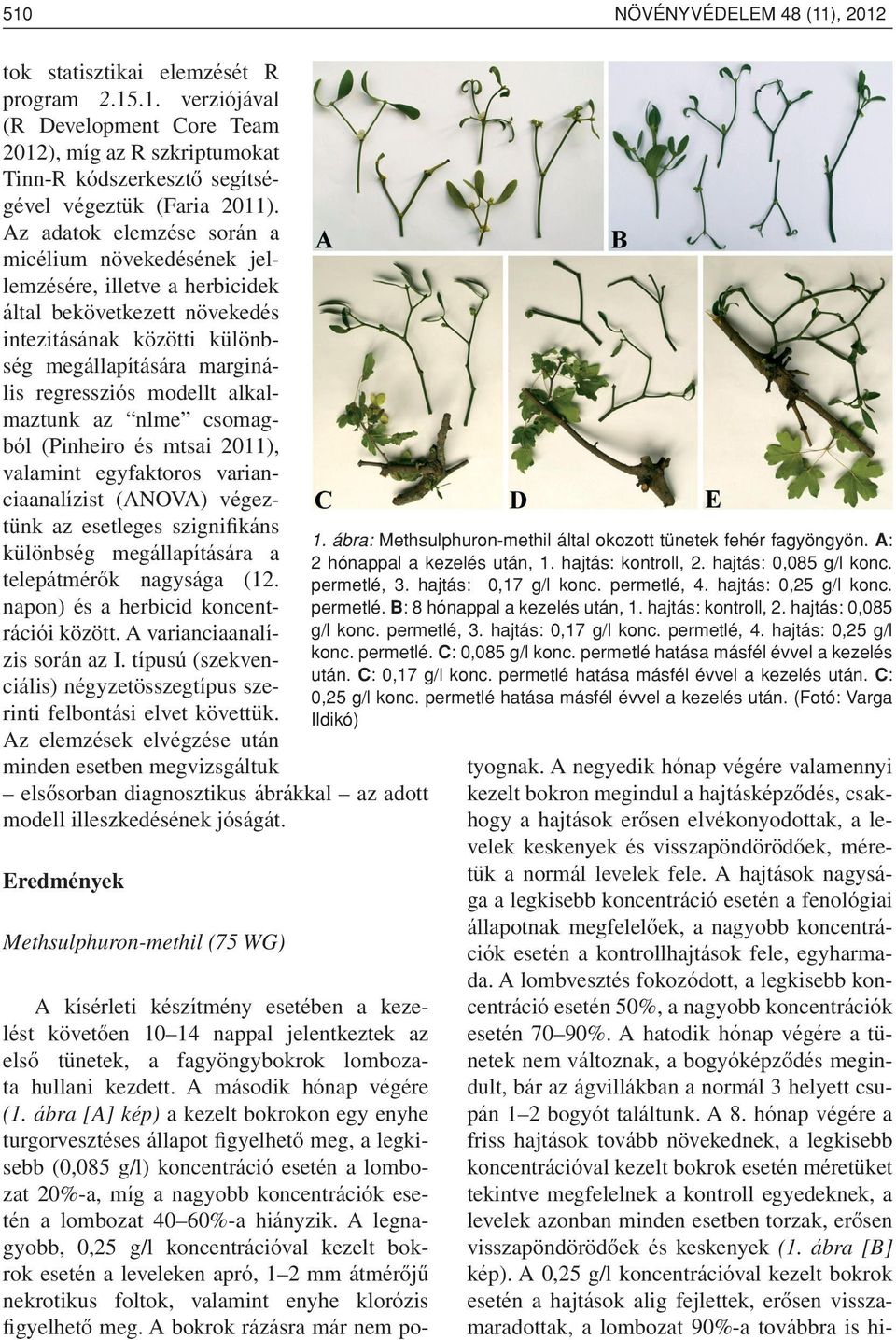 alkalmaztunk az nlme csomagból (Pinheiro és mtsai 2011), valamint egyfaktoros varianciaanalízist (ANOVA) végeztünk az esetleges szignifikáns különbség megállapítására a telepátmérôk nagysága (12.