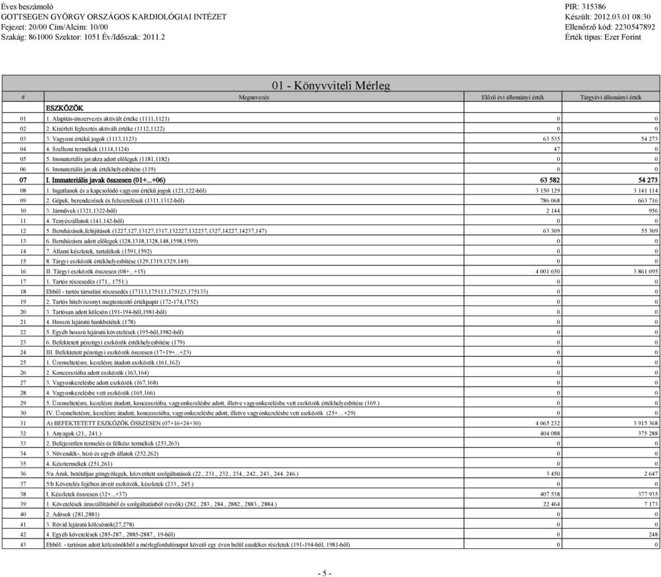 Immateriális javakra adott előleek (1181,1182) 0 0 06 6. Immateriális javak értékhelyesbítése (119) 0 0 07 I. Immateriális javak összesen (01+...+06) 63 582 54 273 08 1.