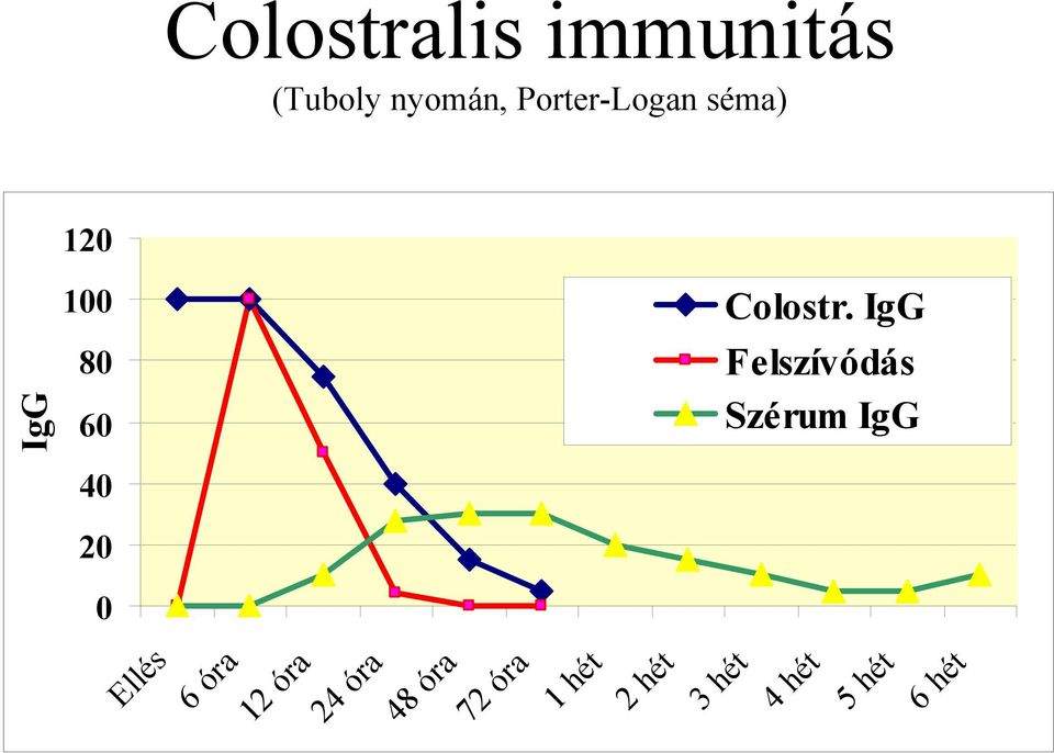 IgG Felszívódás Szérum IgG Ellés 6 óra 12 óra 24