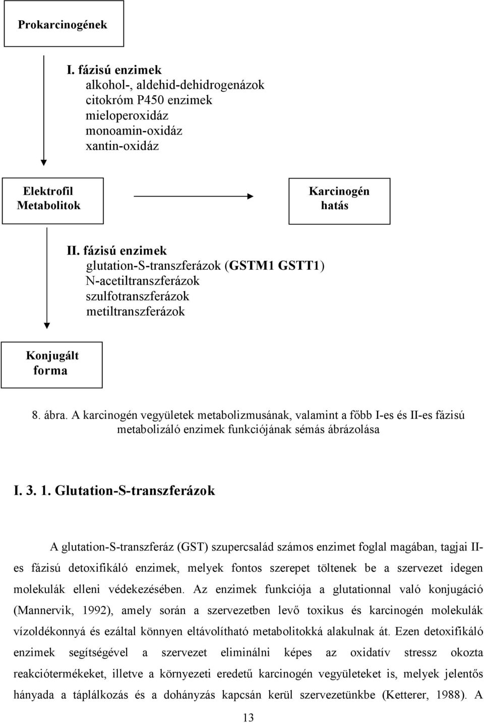 A karcinogén vegyületek metabolizmusának, valamint a fıbb I-es és II-es fázisú metabolizáló enzimek funkciójának sémás ábrázolása I. 3. 1.