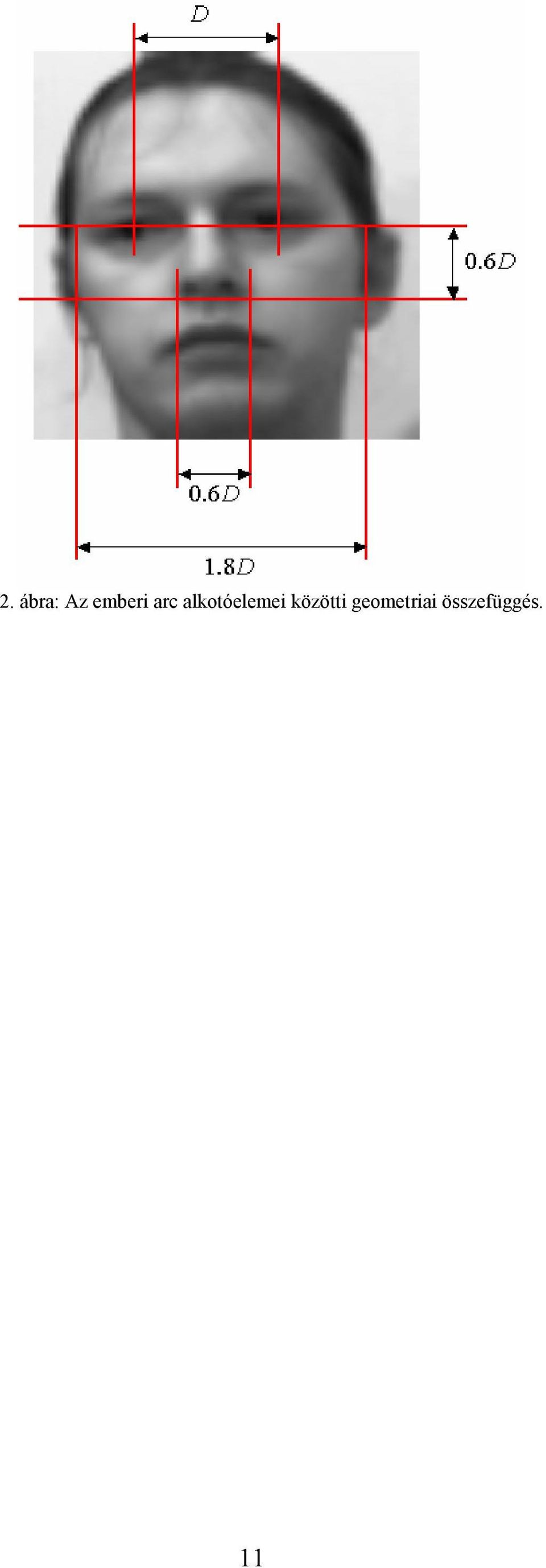 alkotóelemei