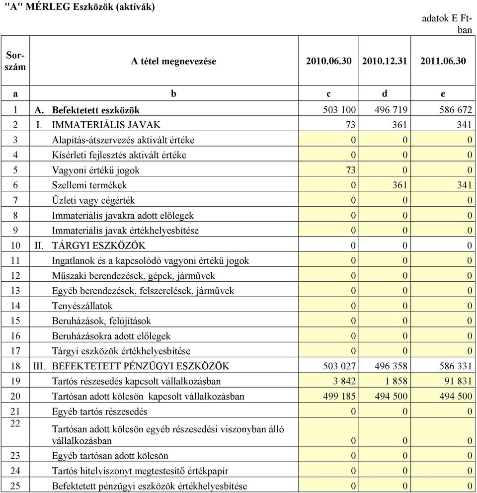 cégérték 0 0 0 8 Immateriális javakra adott előlegek 0 0 0 9 Immateriális javak értékhelyesbítése 0 0 0 10 II.