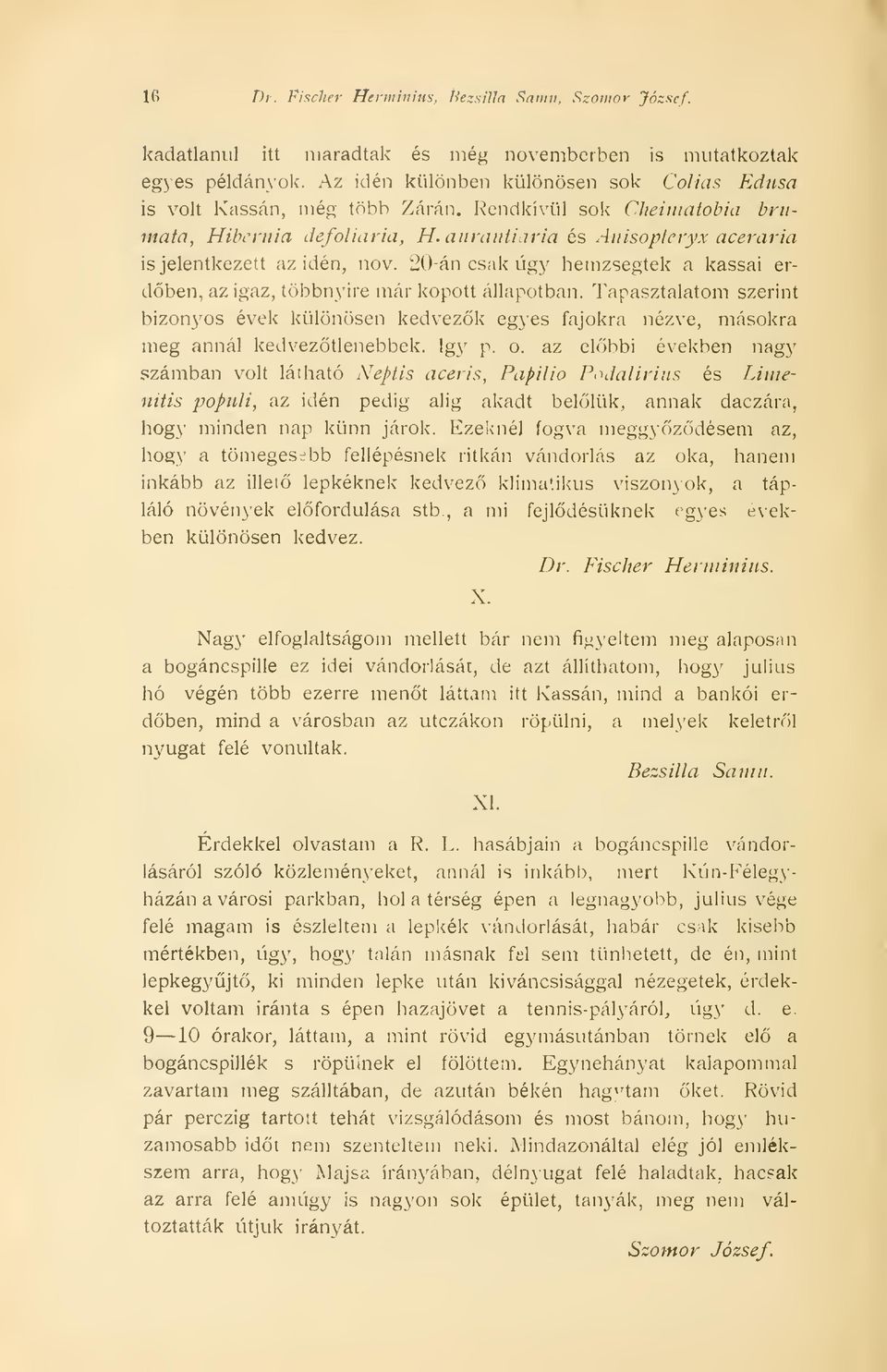 atirantiaria és Auisopteryx aceraria is jelentkezett az idén, nov. 20-án csak úgy hemzsegtek a kassai erdben, az igaz, többnyire már kopott állapotban.