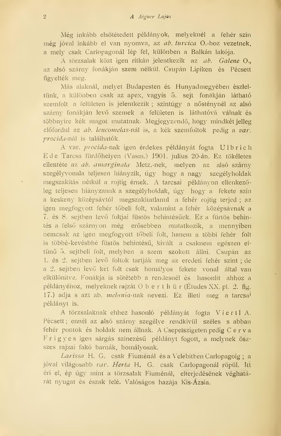 Csupán Lipiken és Pécsett figyelték meg. Más alaknál, melyet Budapesten és Hunyadmegyében észleltünk, a különben csak az apex, vagyis 5.