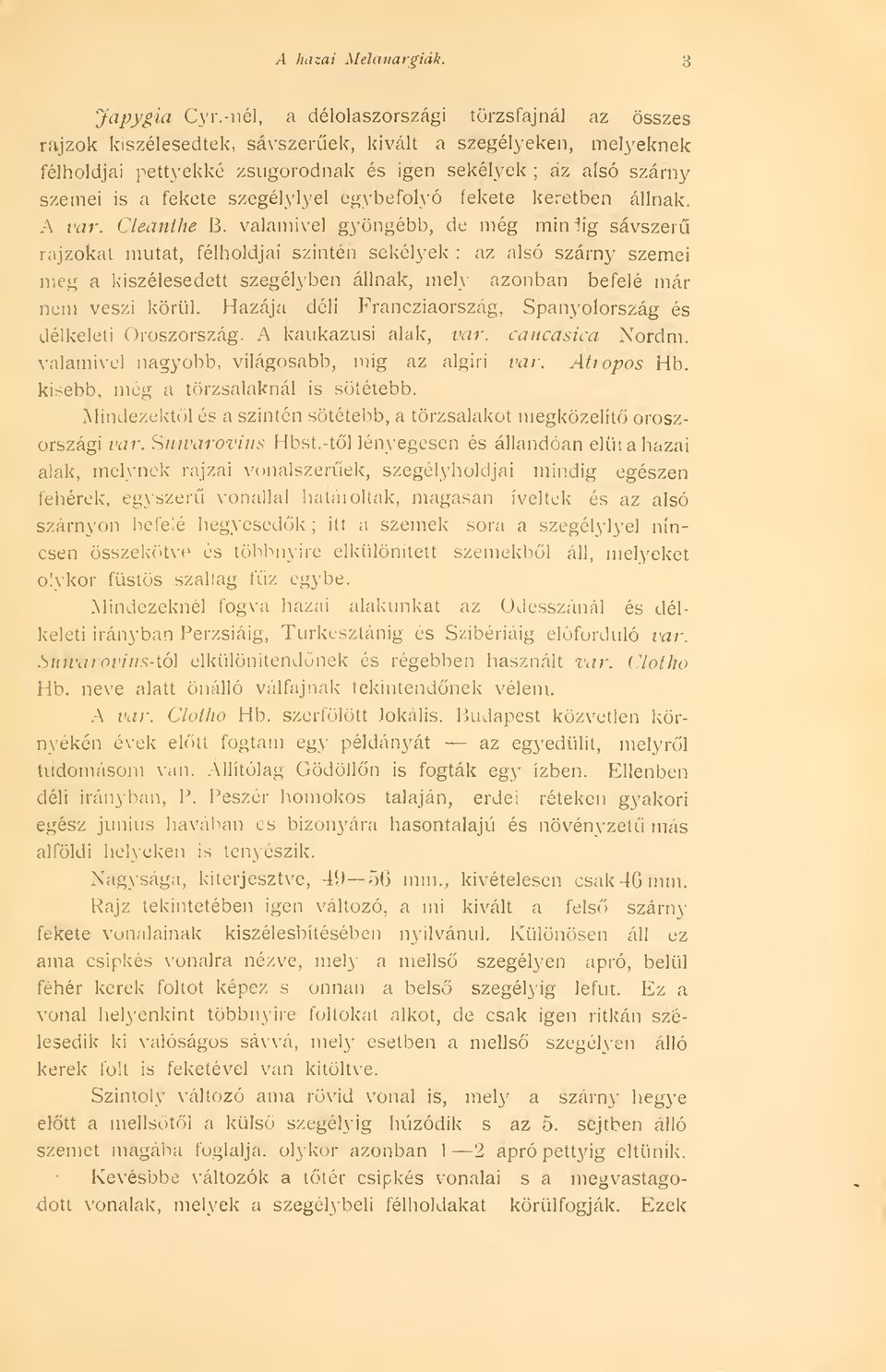 szegélylvel egybefolyó fekete keretben állnak. A var. CLeanlhe B.