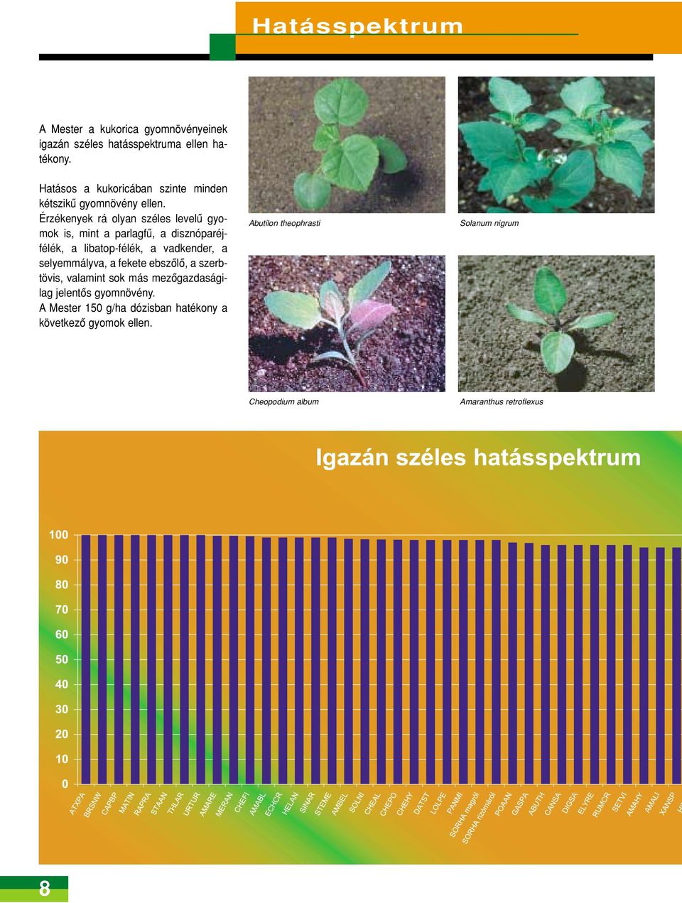 Érzékenyek rá olyan széles levelû gyomok is, mint a parlagfû, a disznóparéjfélék, a libatop-félék, a vadkender, a selyemmályva,