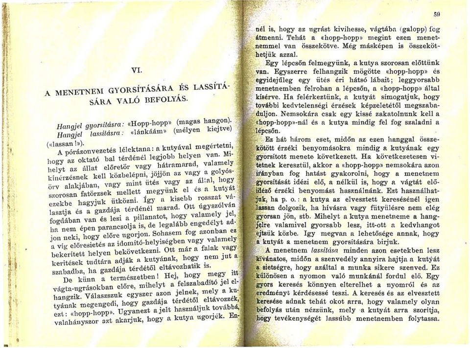Mll el t az állat előretör l~ín~rzésnek kell közbelépni, jöjjön az vag~ u golyos-. ~l'v alakjában, vagy mint ütés ~agy az. al:al,. ho~:, an fatörzsek mellett megytt11k el cs a kutj at SZOl os,.