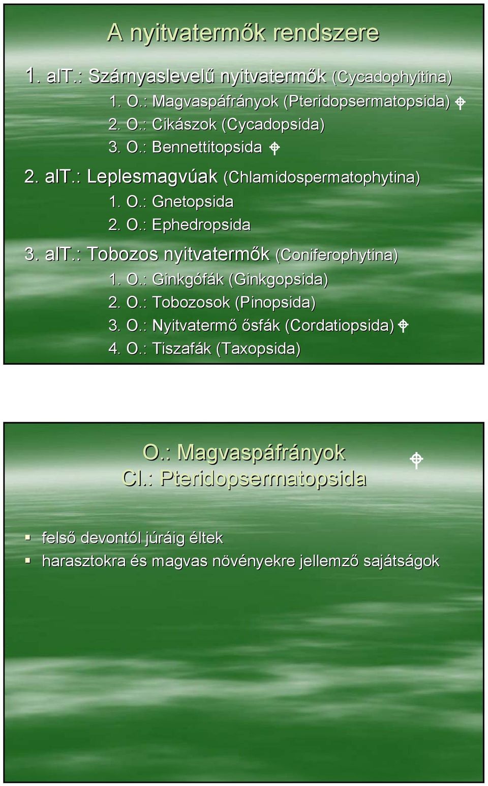 O.: Ginkgófák (Ginkgopsida) 2. O.: Tobozosok (Pinopsida( Pinopsida) 3. O.: Nyitvatermő ősfák (Cordatiopsida( Cordatiopsida) 4. O.: Tiszafák (Taxopsida( Taxopsida) O.