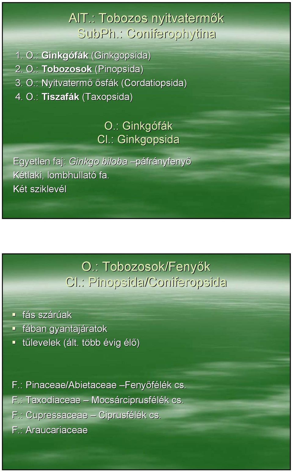Két sziklevél O.: Tobozosok/Fenyők Cl.: Pinopsida/Coniferopsida fás szárúak fában gyantajáratok tűlevelek (ált. több évig élő) F.