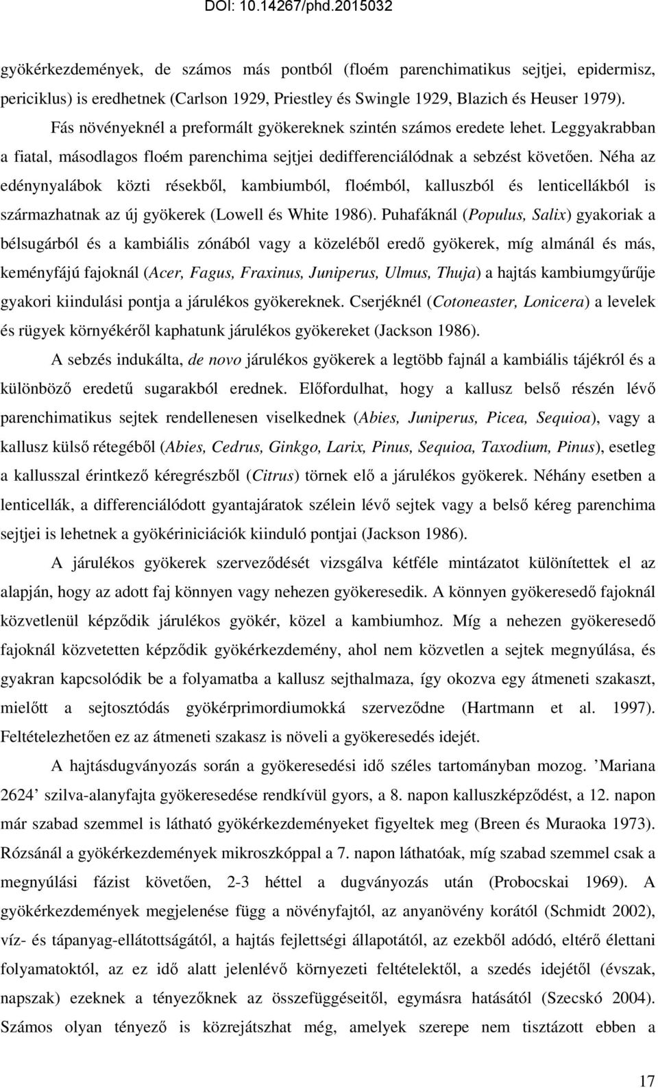Néha az edénynyalábok közti résekbıl, kambiumból, floémból, kalluszból és lenticellákból is származhatnak az új gyökerek (Lowell és White 1986).