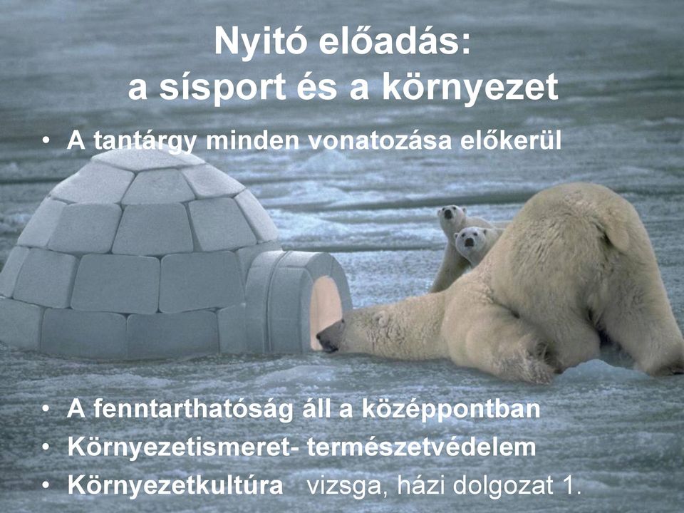fenntarthatóság áll a középpontban