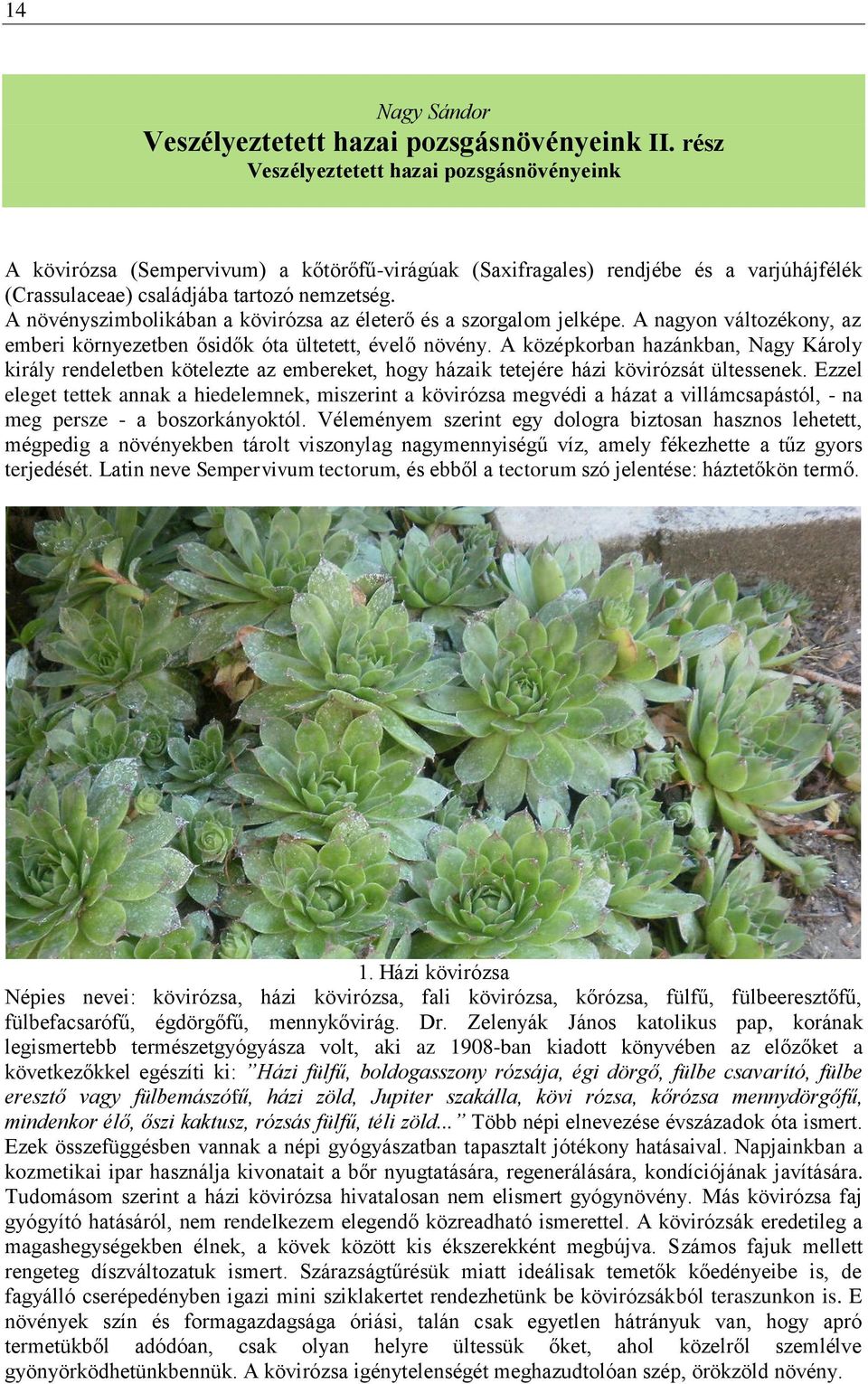 A növényszimbolikában a kövirózsa az életerő és a szorgalom jelképe. A nagyon változékony, az emberi környezetben ősidők óta ültetett, évelő növény.