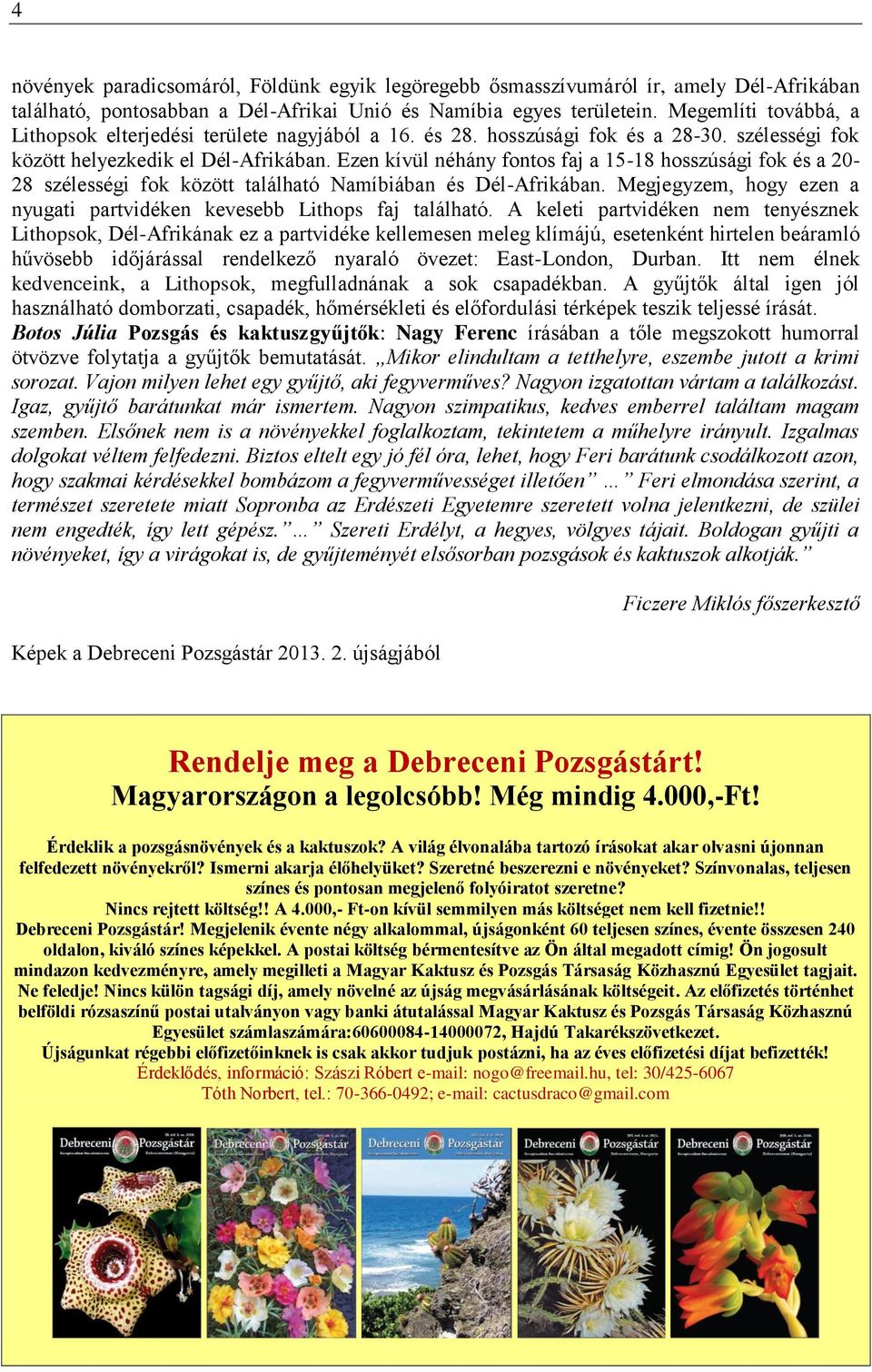 Ezen kívül néhány fontos faj a 15-18 hosszúsági fok és a 20-28 szélességi fok között található Namíbiában és Dél-Afrikában. Megjegyzem, hogy ezen a nyugati partvidéken kevesebb Lithops faj található.