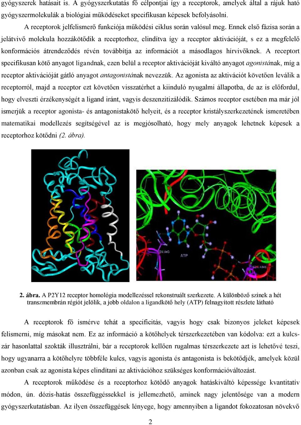 Ennek első fázisa során a jelátvivő molekula hozzákötődik a receptorhoz, elindítva így a receptor aktivációját, s ez a megfelelő konformációs átrendeződés révén továbbítja az információt a másodlagos