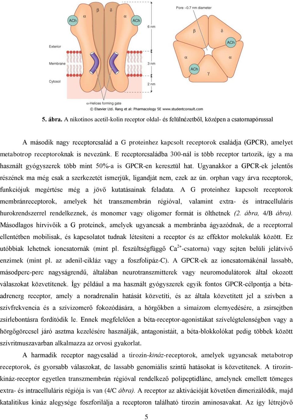 receptoroknak is nevezünk. E receptorcsaládba 300-nál is több receptor tartozik, így a ma használt gyógyszerek több mint 50%-a is GPCR-en keresztül hat.