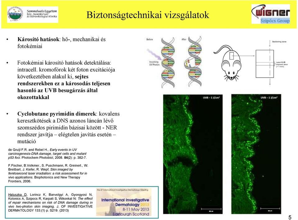 keresztkötések a DNS azonos láncán lévő szomszédos pirimidin bázisai között - NER rendszer javítja elégtelen javítás esetén mutáció de Gruijl F.R. and Rebel H.