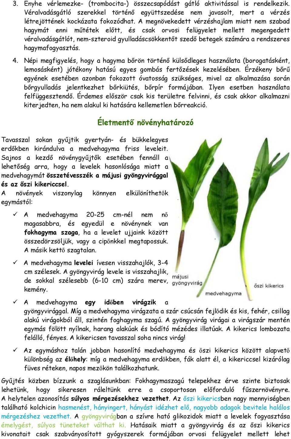 rendszeres hagymafogyasztás. 4. Népi megfigyelés, hogy a hagyma bőrön történő külsődleges használata (borogatásként, lemosásként) jótékony hatású egyes gombás fertőzések kezelésében.