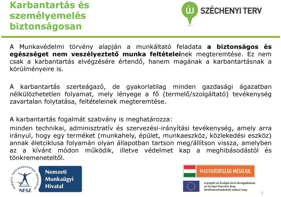 A karbantartás szerteágazó, de gyakorlatilag minden gazdasági ágazatban nélkülözhetetlen folyamat, mely lényege a fő (termelő/szolgáltató) tevékenység zavartalan folytatása, feltételeinek