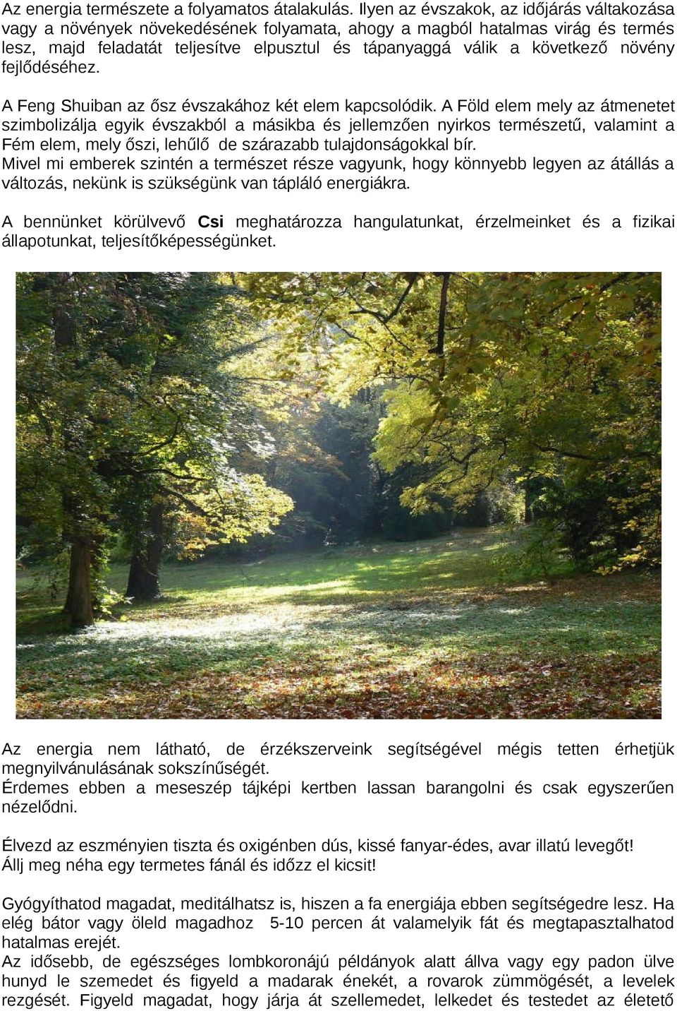 növény fejlődéséhez. A Feng Shuiban az ősz évszakához két elem kapcsolódik.