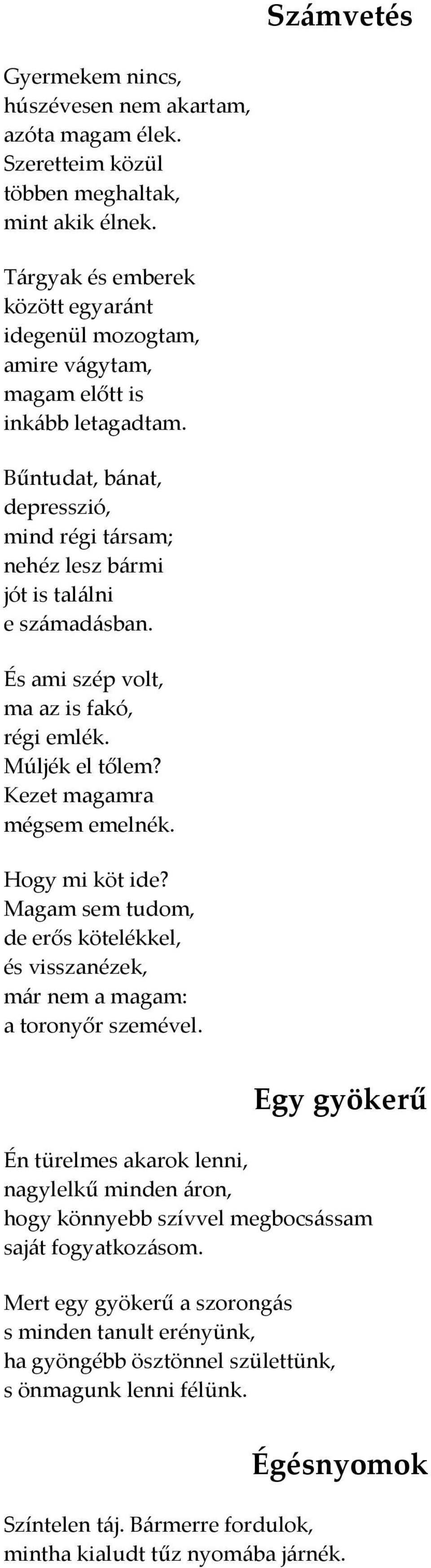 És ami szép volt, ma az is fakó, régi emlék. Múljék el tőlem? Kezet magamra mégsem emelnék. Hogy mi köt ide? Magam sem tudom, de erős kötelékkel, és visszanézek, már nem a magam: a toronyőr szemével.