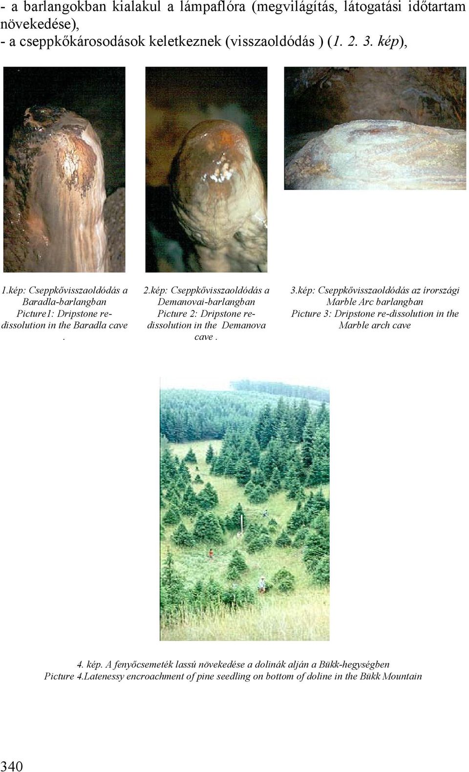 kép: Cseppkővisszaoldódás a Demanovai-barlangban Picture 2: Dripstone redissolution in the Demanova cave. 3.