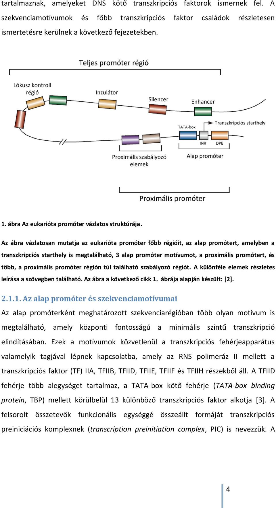 Gerinces és növényi ortológ promóter adatbázisok fejlesztése és elemzése.  Doktori (Ph.D.) értekezés. Készítette: Sebestyén Endre - PDF Ingyenes  letöltés