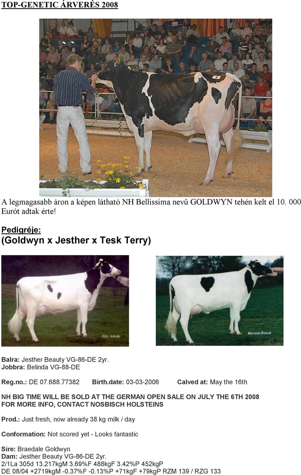 date: 03-03-2006 Calved at: May the 16th NH BIG TIME WILL BE SOLD AT THE GERMAN OPEN SALE ON JULY THE 6TH 2008 FOR MORE INFO, CONTACT NOSBISCH HOLSTEINS Prod.