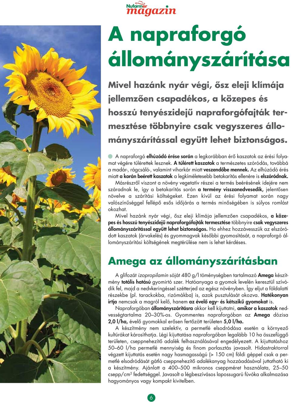 A túl érett kaszatok a természetes szóródás, továbbá a madár-, rág csá ló-, valamint viharkár miatt veszendôbe mennek.