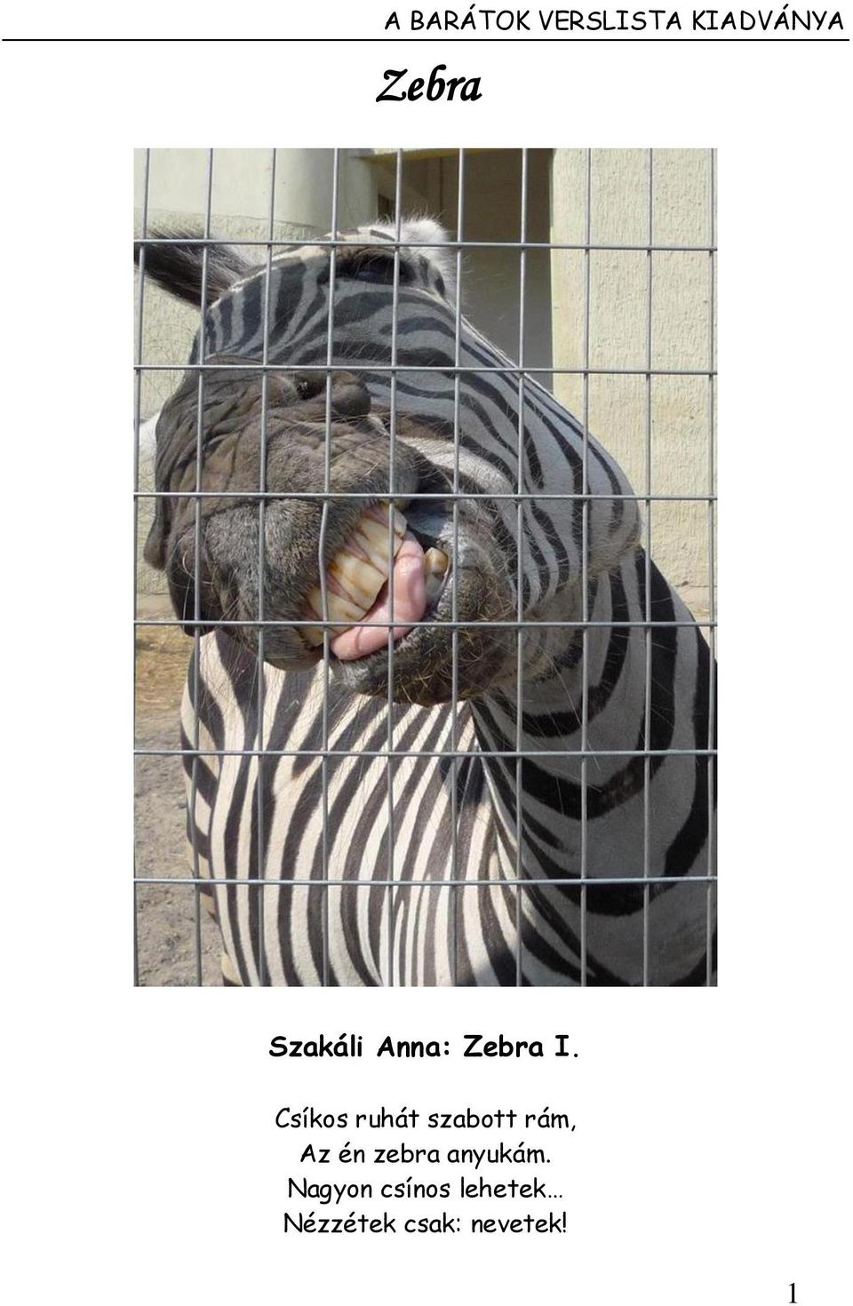 Csíkos ruhát szabott rám, Az én zebra