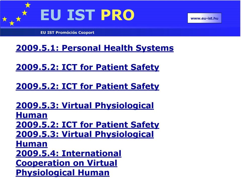 5.4: International Cooperation on Virtual Physiological Human