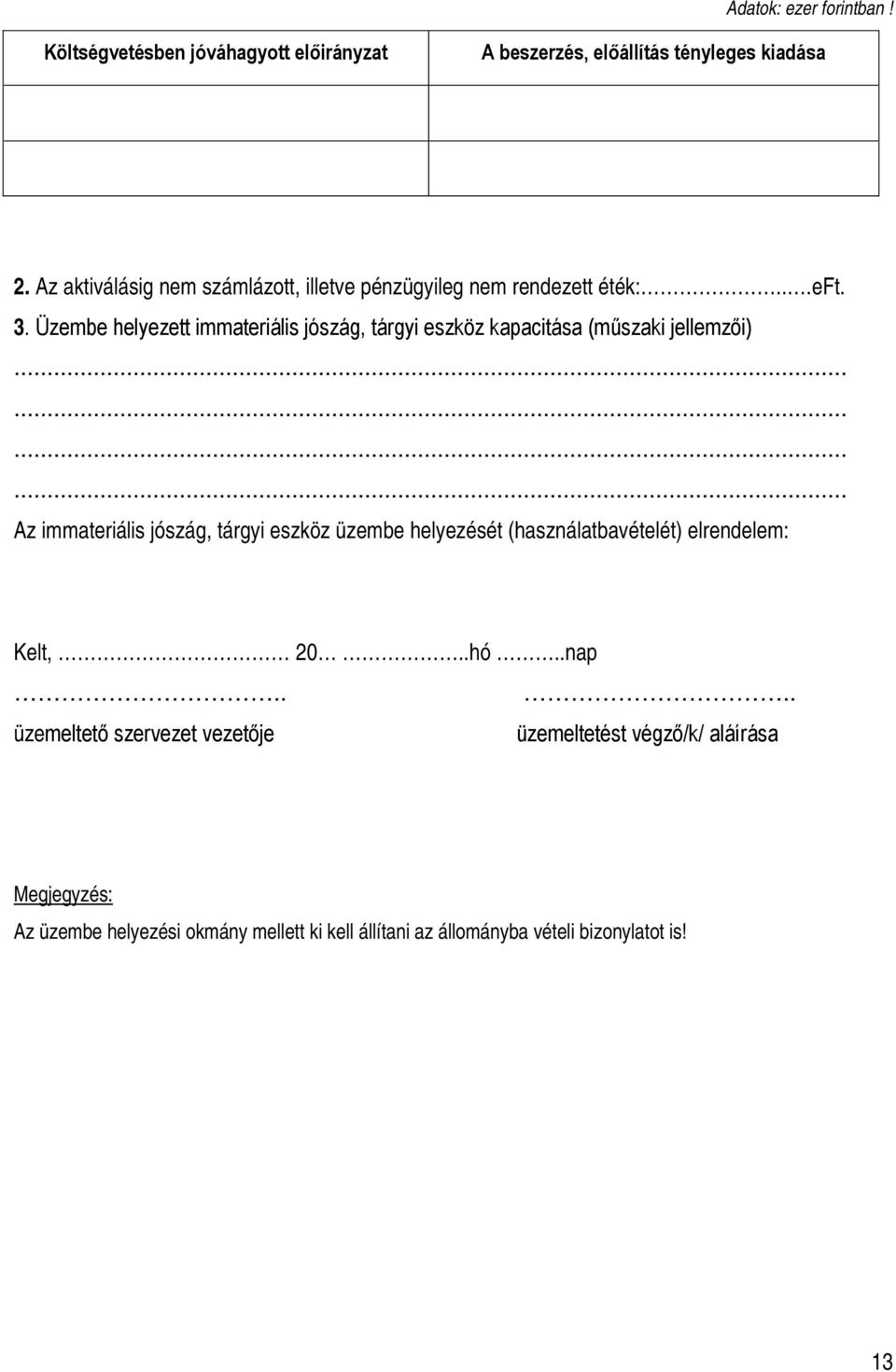 Üzembe helyezett immateriális jószág, tárgyi eszköz kapacitása (műszaki jellemzői).