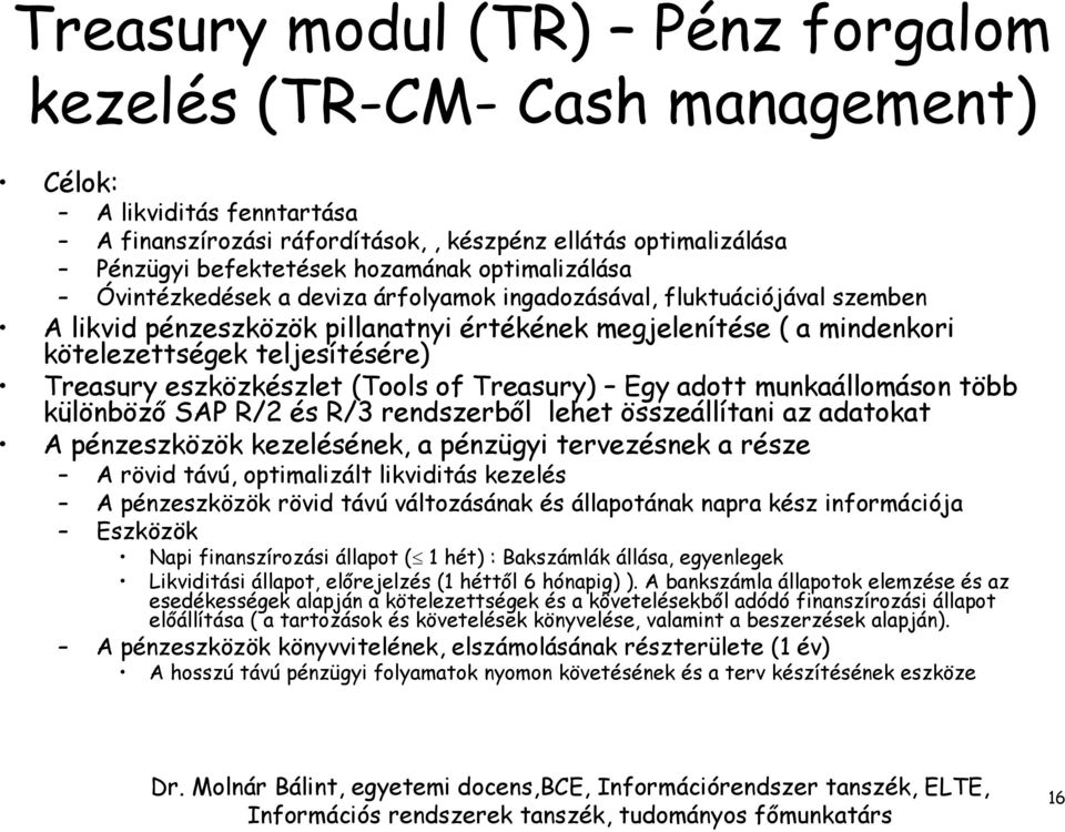 Treasury eszközkészlet (Tools of Treasury) Egy adott munkaállomáson több különböző SAP R/2 és R/3 rendszerből lehet összeállítani az adatokat A pénzeszközök kezelésének, a pénzügyi tervezésnek a