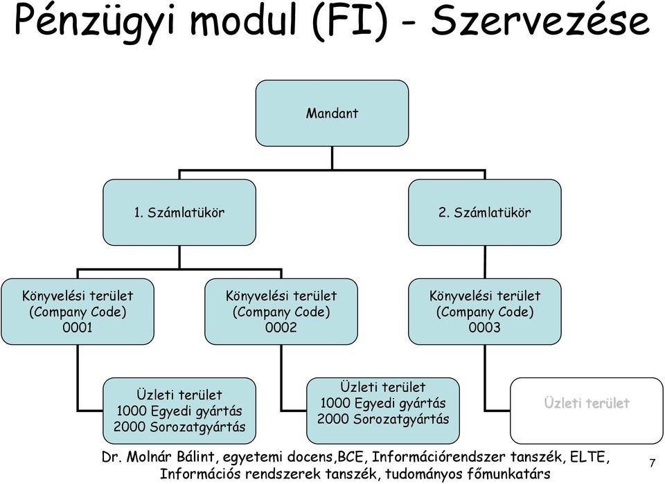 Code) 0002 Könyvelési terület (Company Code) 0003 Üzleti terület 1000 Egyedi
