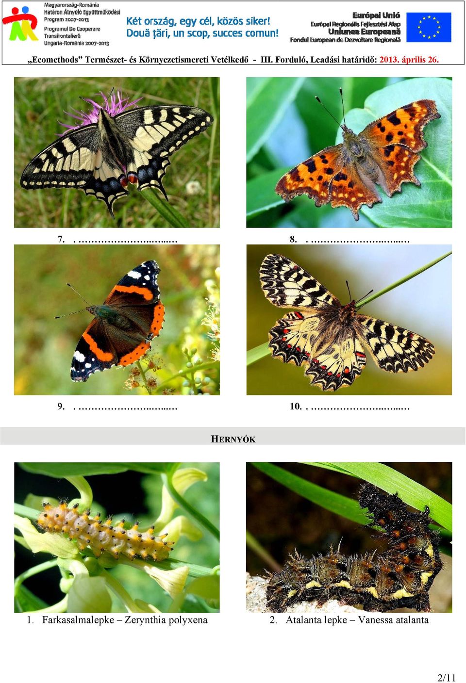 Farkasalmalepke Zerynthia