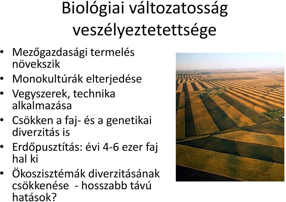 Csökken a faj- és a genetikai diverzitás is Erdőpusztítás: évi 4-6