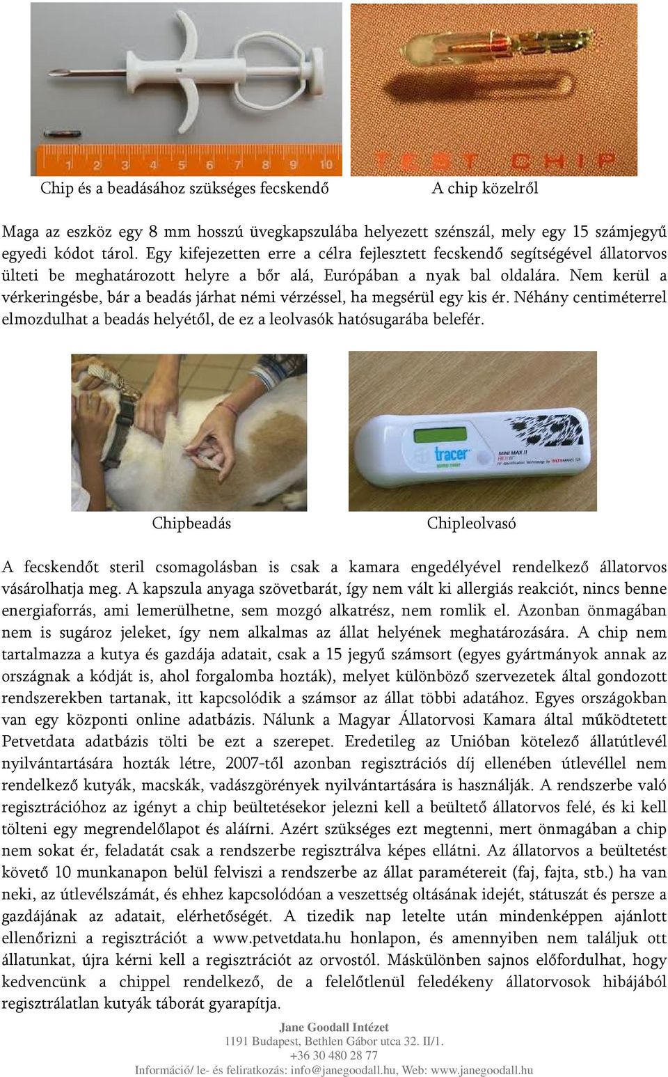 Nem kerül a vérkeringésbe, bár a beadás járhat némi vérzéssel, ha megsérül egy kis ér. Néhány centiméterrel elmozdulhat a beadás helyétől, de ez a leolvasók hatósugarába belefér.
