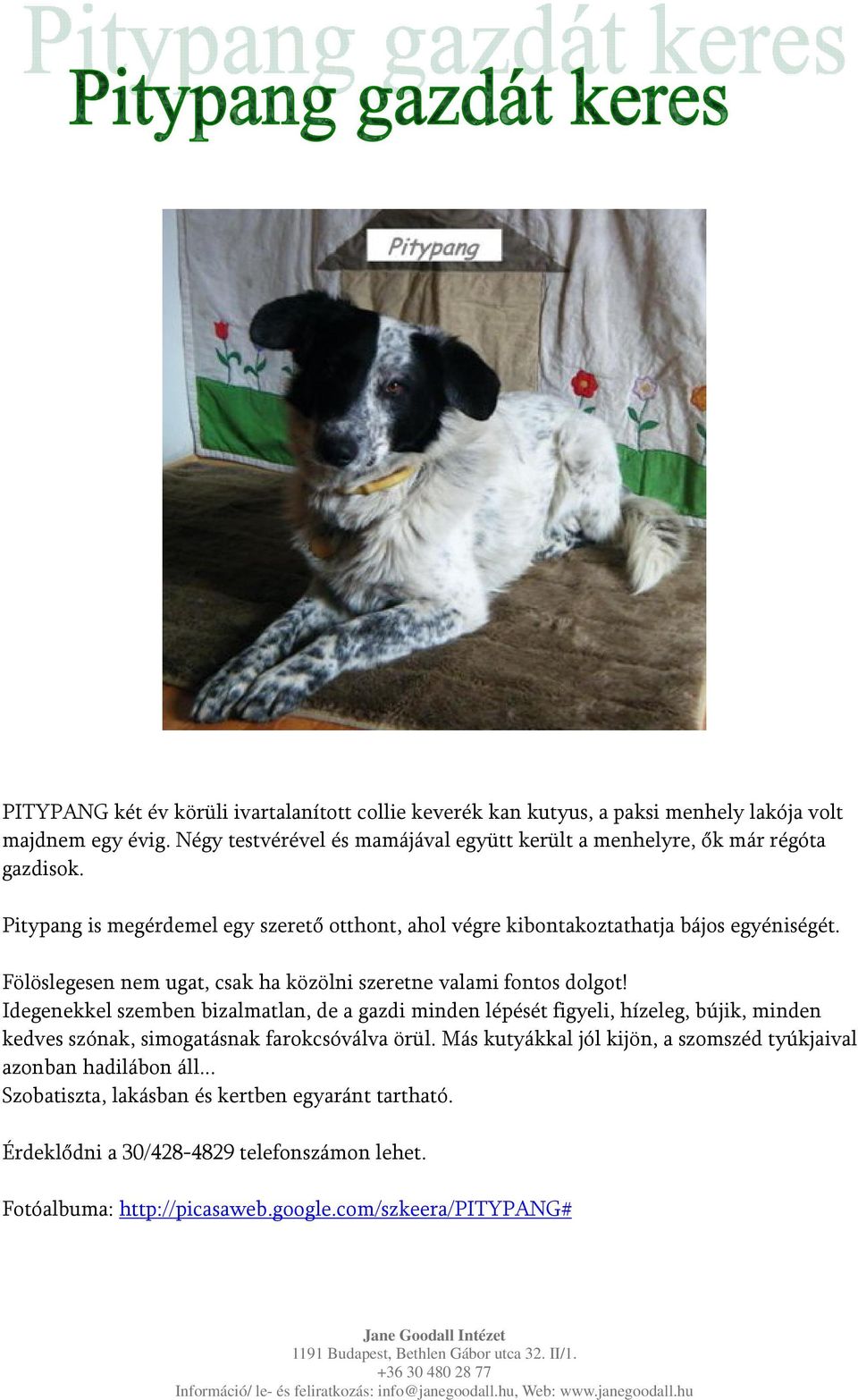 Fölöslegesen nem ugat, csak ha közölni szeretne valami fontos dolgot!
