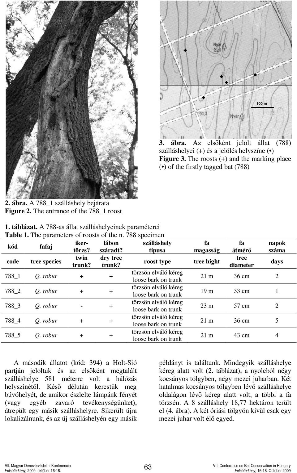 típusa code tree species twin trunk? dry tree trunk? 788_1 Q. robur + + 788_2 Q. robur + + 788_3 Q. robur - + 788_4 Q. robur + + 788_5 Q.